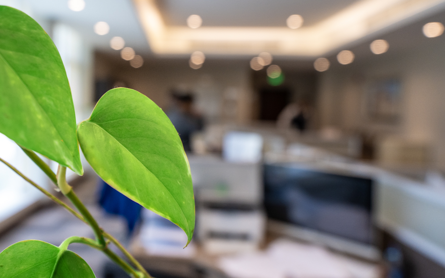 Corporate Social Responsibility